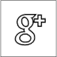Google+